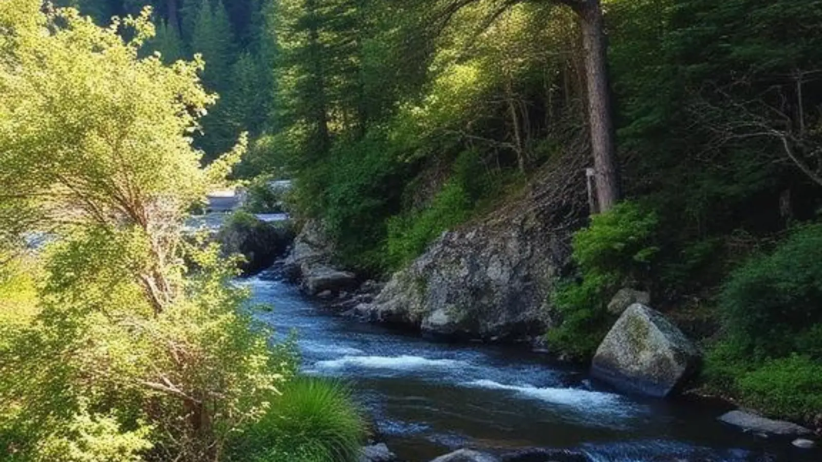 caption for instagram nature