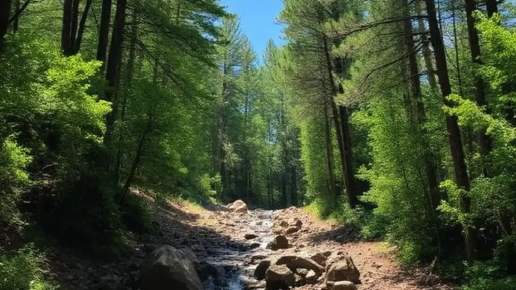 caption for instagram nature