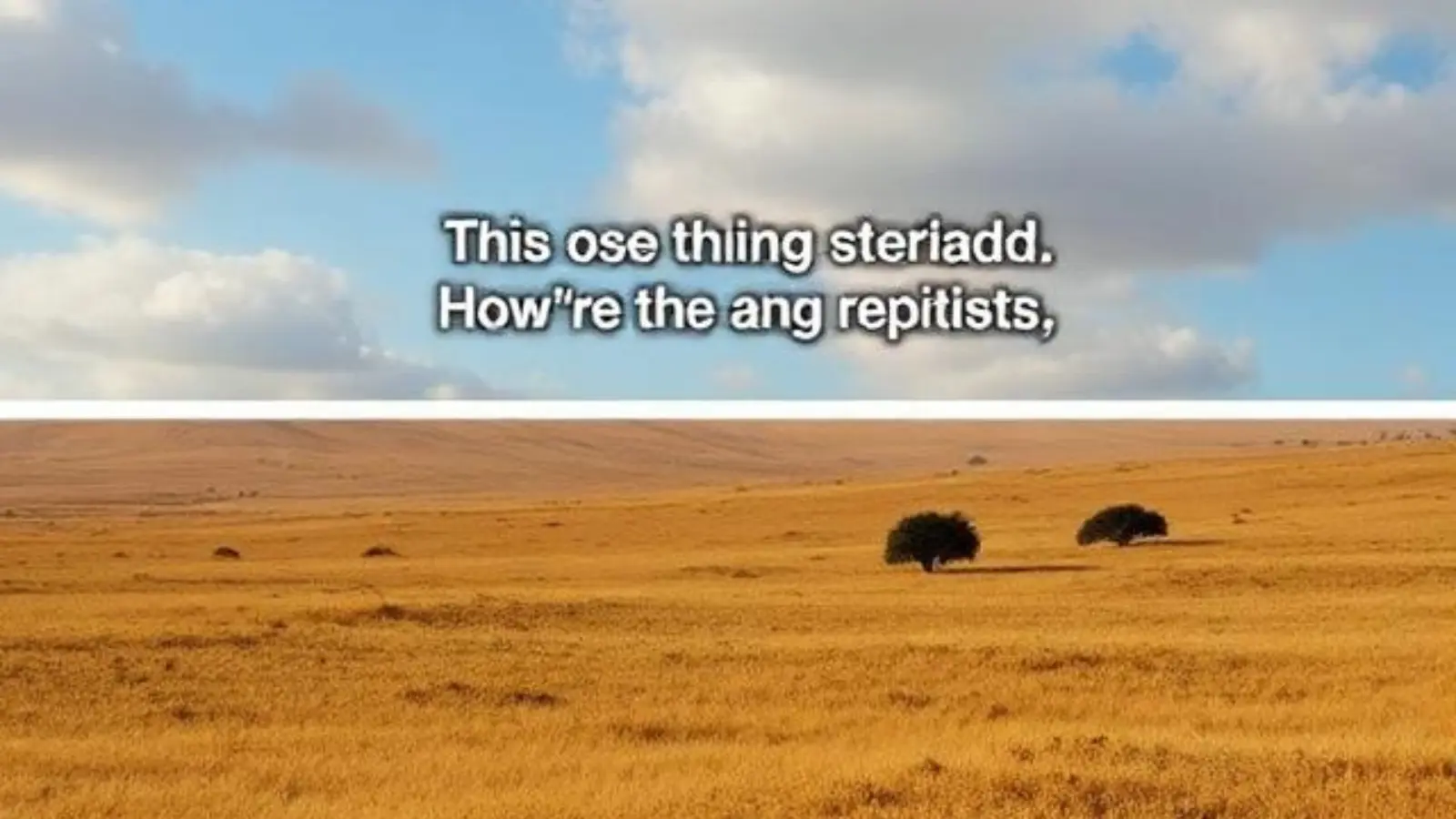 closed captions vs open captions