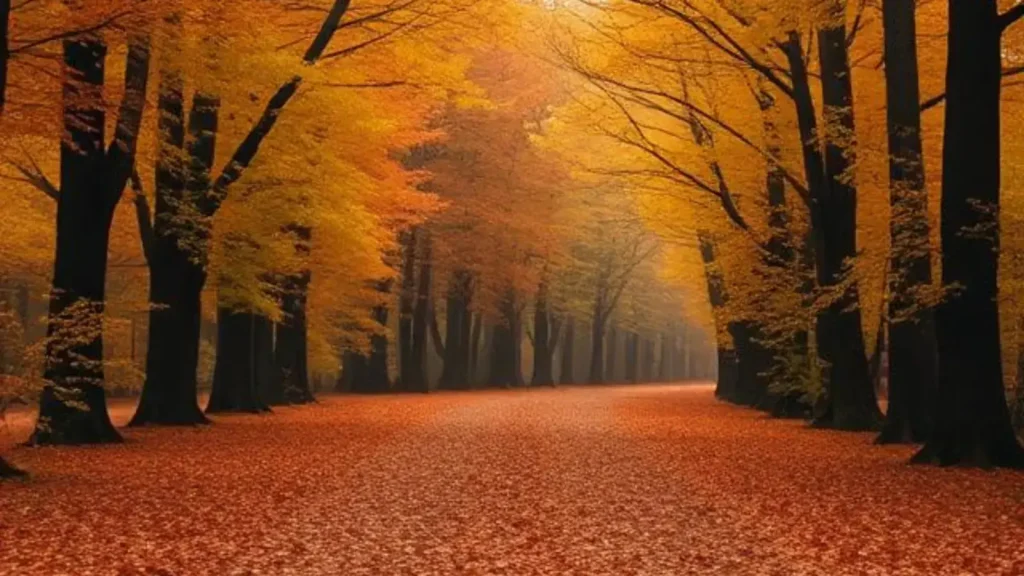 fall captions instagram