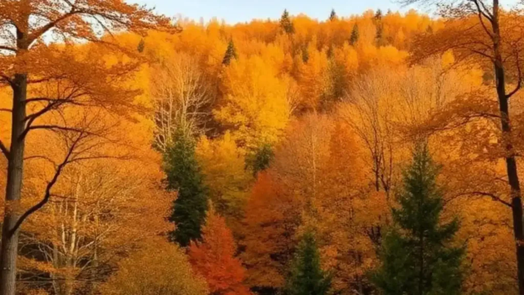 fallcaptionsinstagram