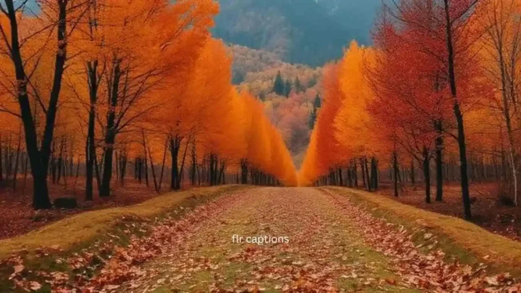 ig captions for thanksgiving