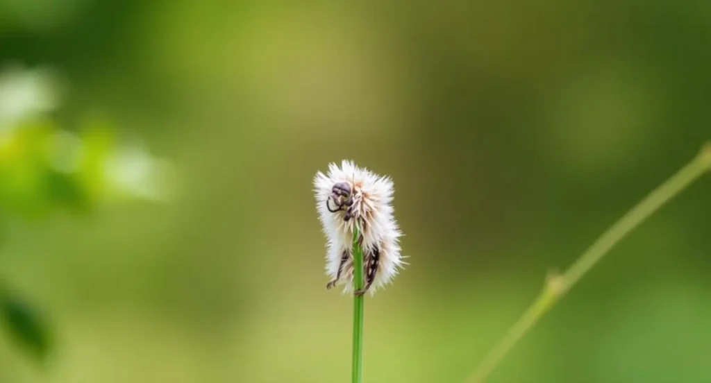 nature captions for instagram