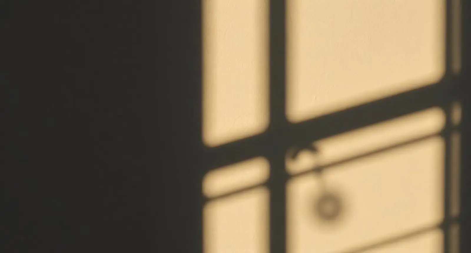synonyms for shadow
