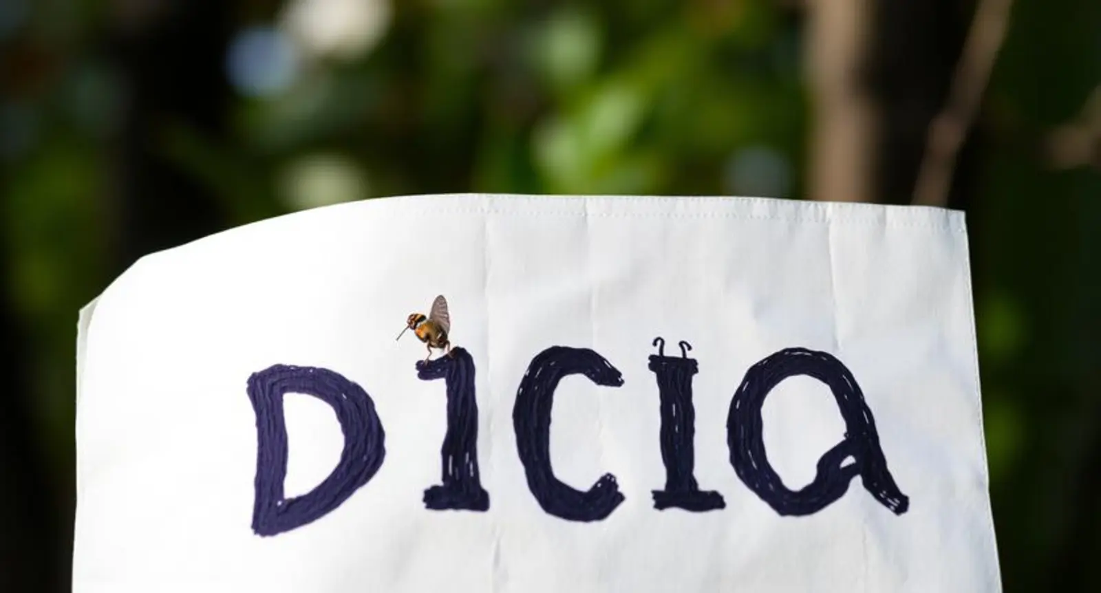 dicta synonym