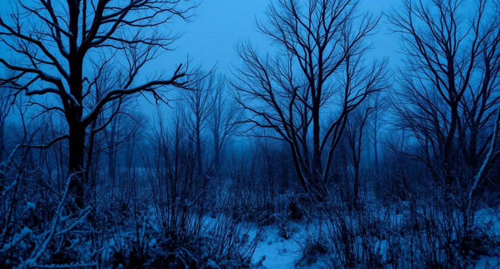 encroachment synonym